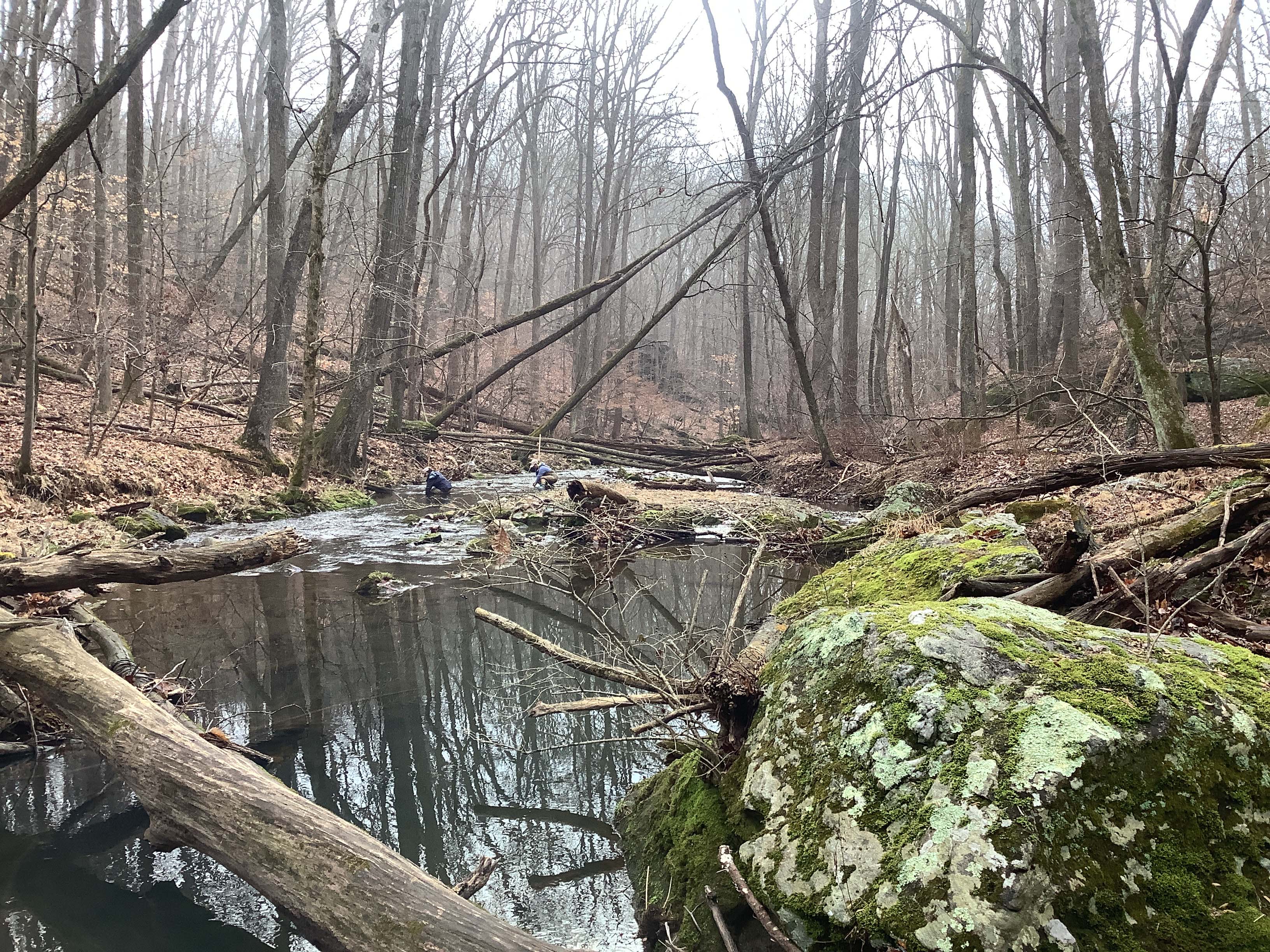 Field photo showing stream conditions at site JONE-315-S-2023_Midpoint_facing_downstream