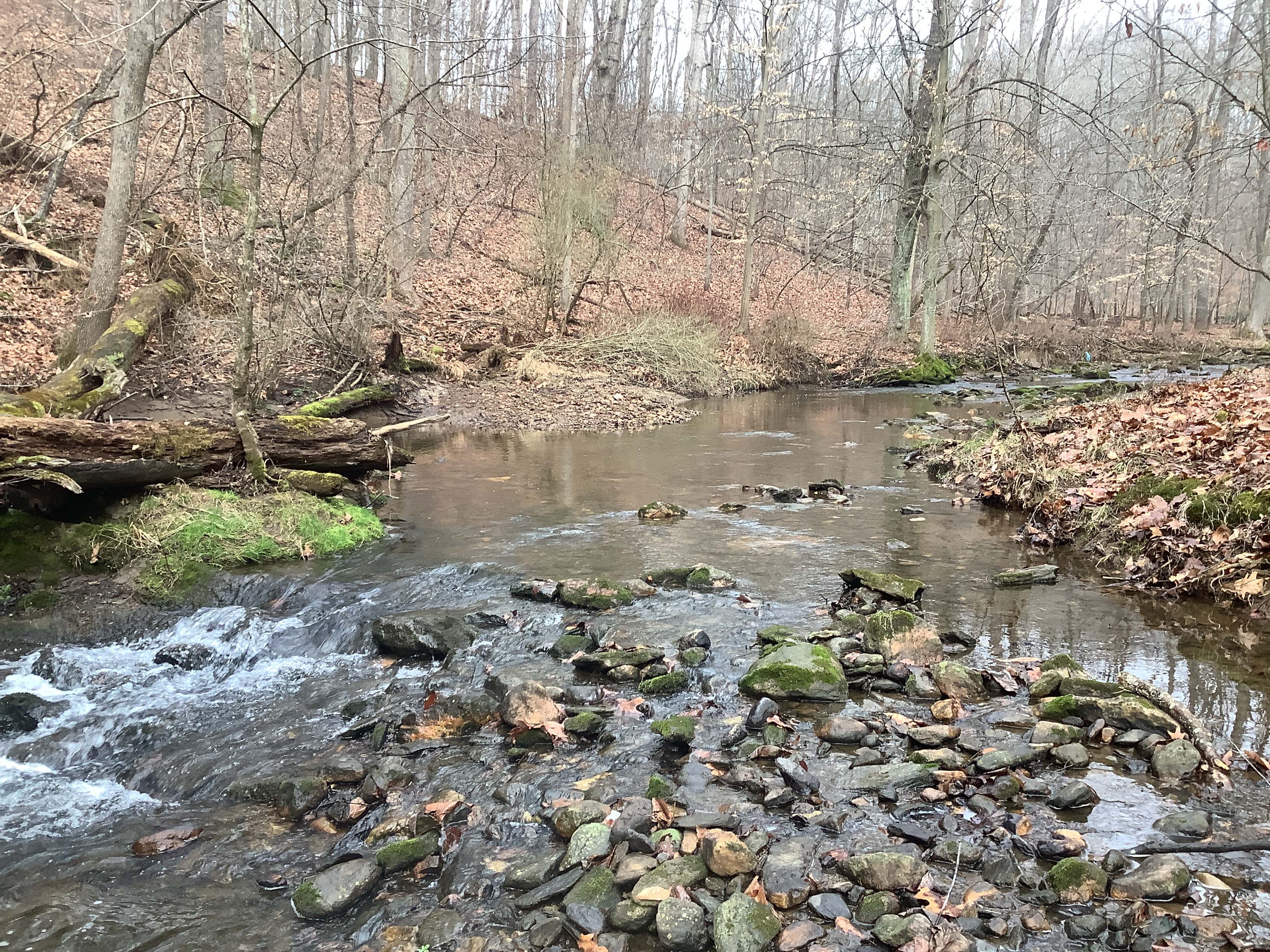Field photo showing stream conditions at site JONE-315-S-2023_Midpoint_facing_upstream