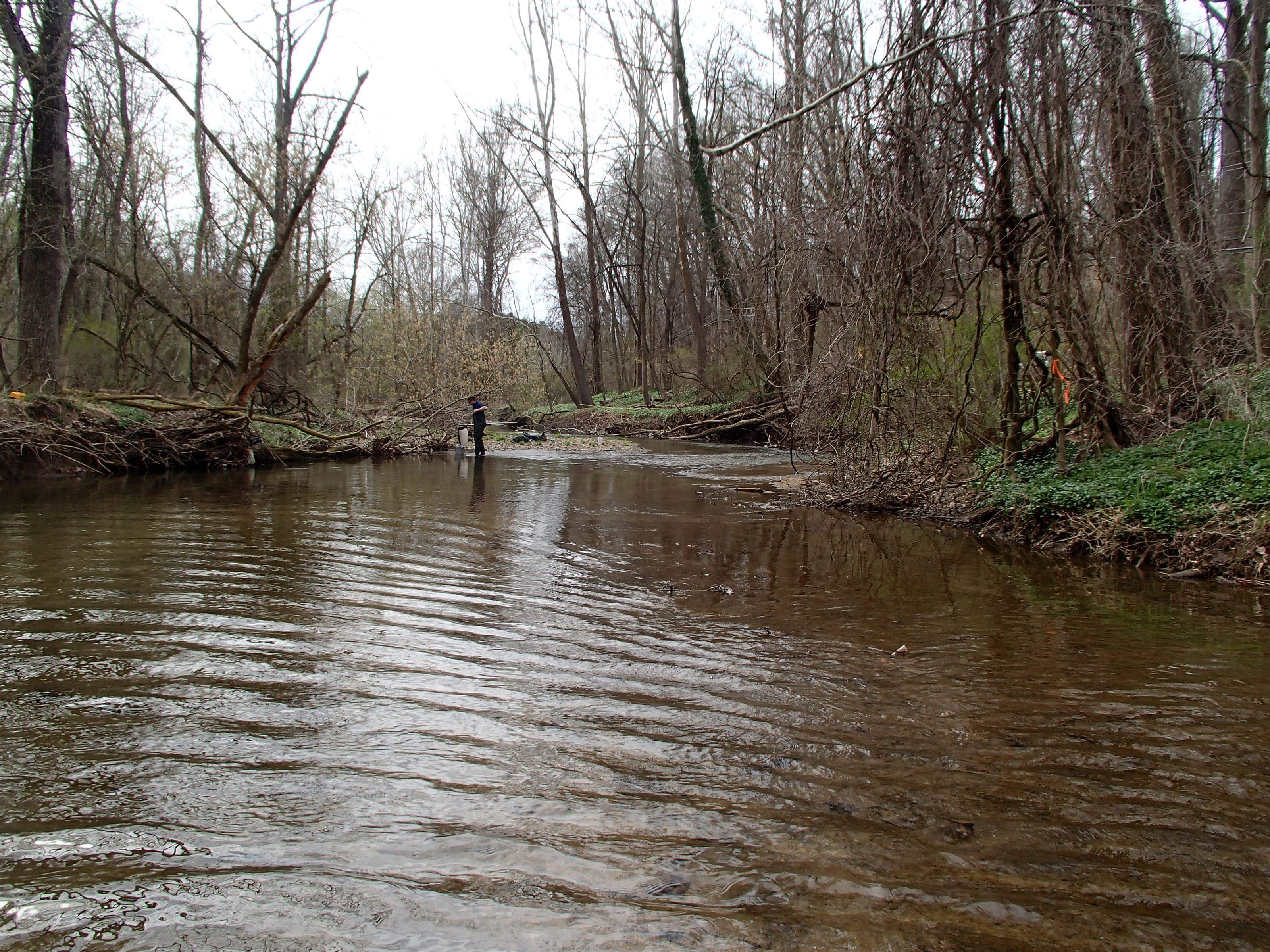 Field photo showing stream conditions at site JONE-321-R-2015_Midpoint-looking-downstream