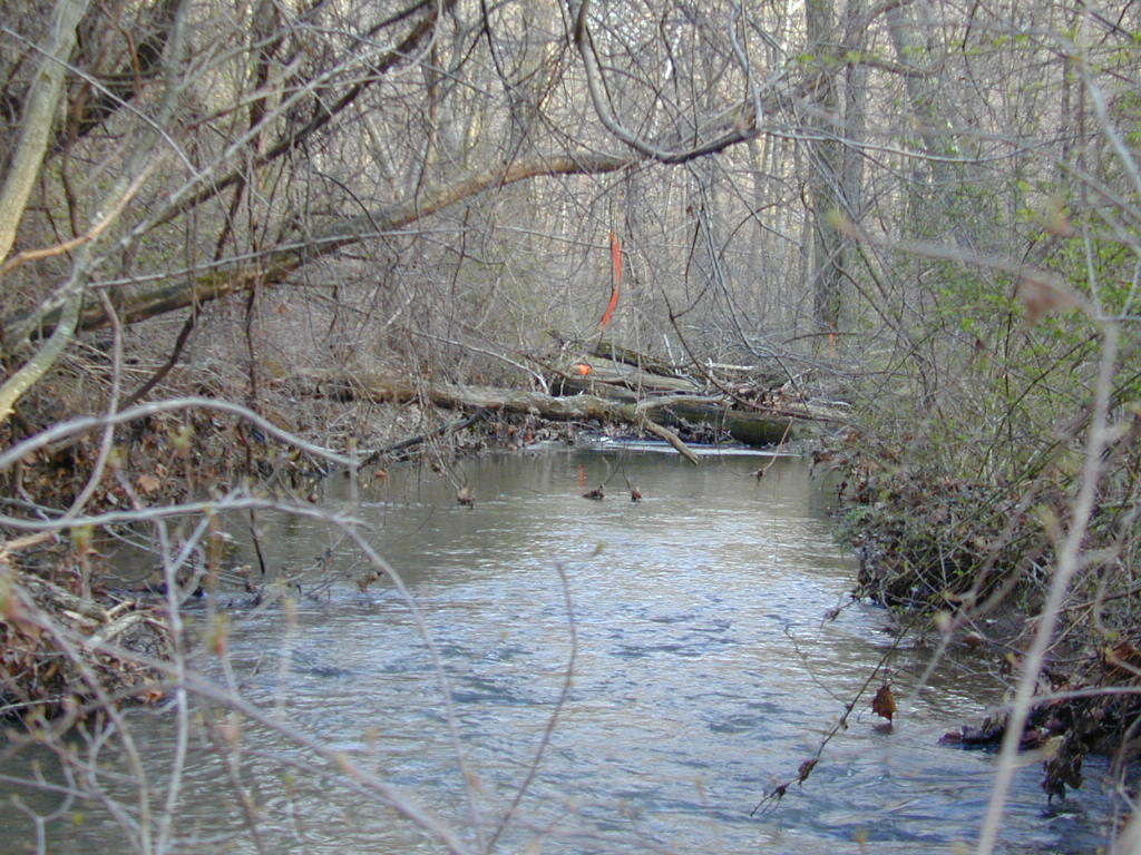 Field photo showing stream conditions at site JONE-322-S-2000-01