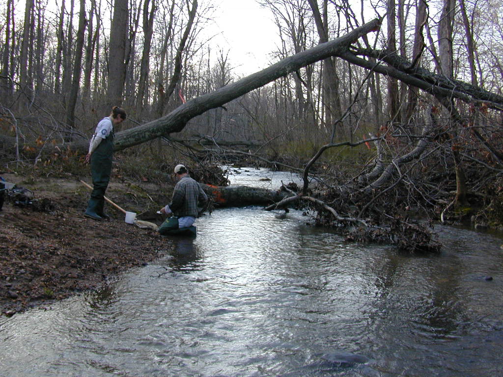 Field photo showing stream conditions at site JONE-322-S-2000-02