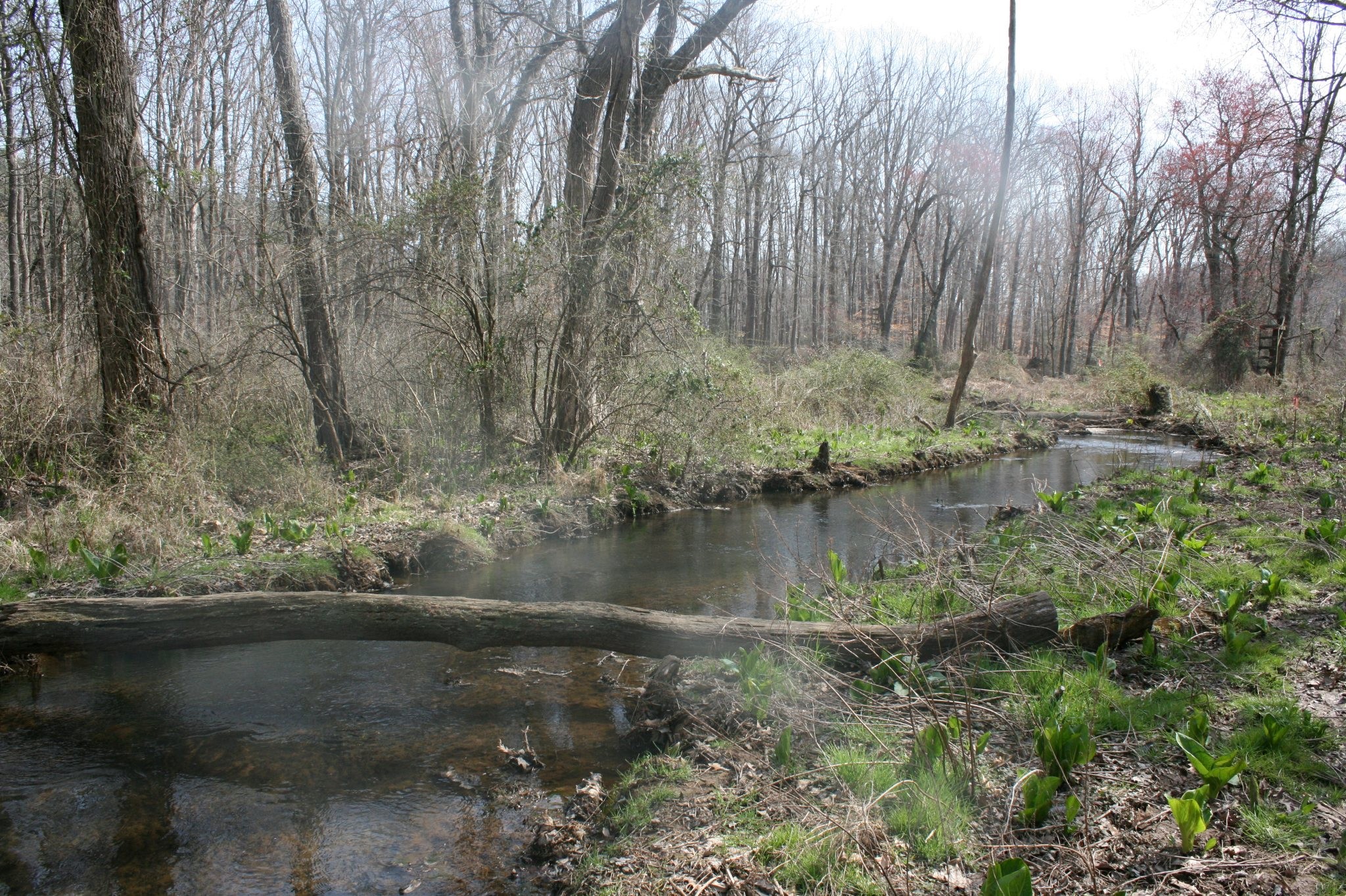 Field photo showing stream conditions at site LANG-101-A-2012-50mDownstream
