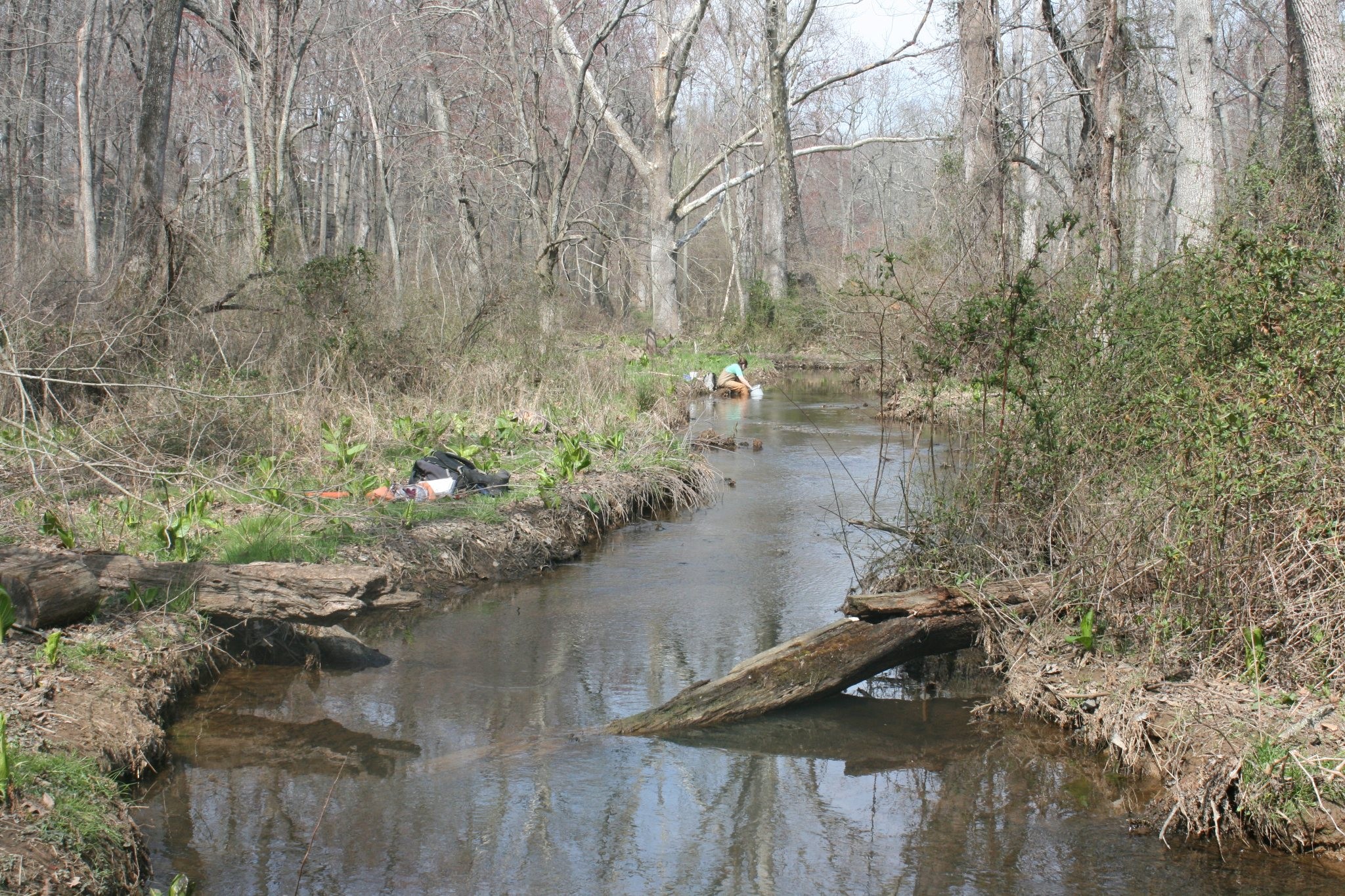 Field photo showing stream conditions at site LANG-101-A-2012-50mUpstream