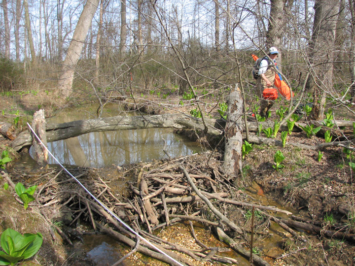 Field photo showing stream conditions at site LANG-102-B-2007-1