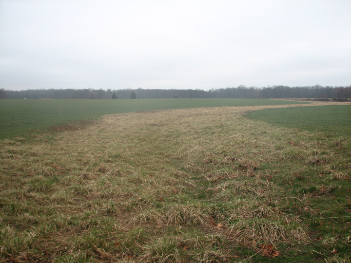 Field photo showing stream conditions at site LANG-102-R-2008-1