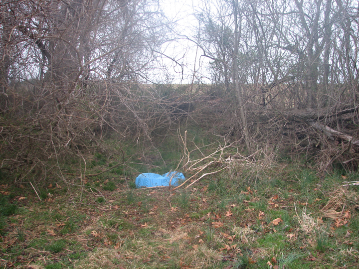 Field photo showing stream conditions at site LANG-102-R-2008-2