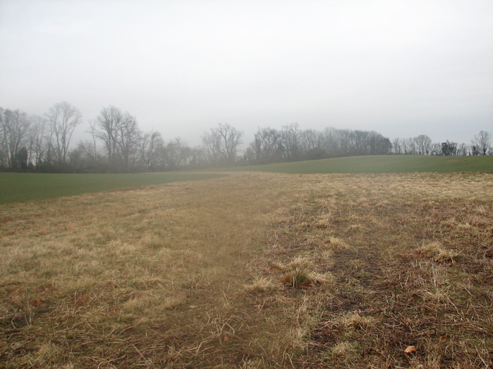 Field photo showing stream conditions at site LANG-103-R-2008-2