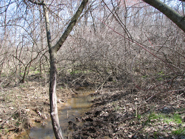 Field photo showing stream conditions at site LANG-104-B-2007-1