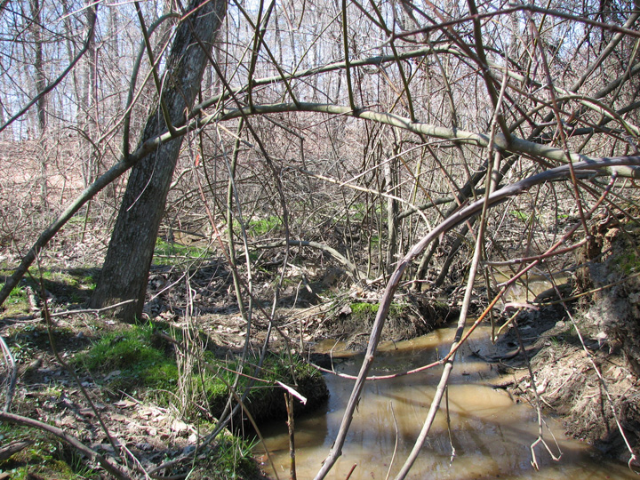 Field photo showing stream conditions at site LANG-104-B-2007-2