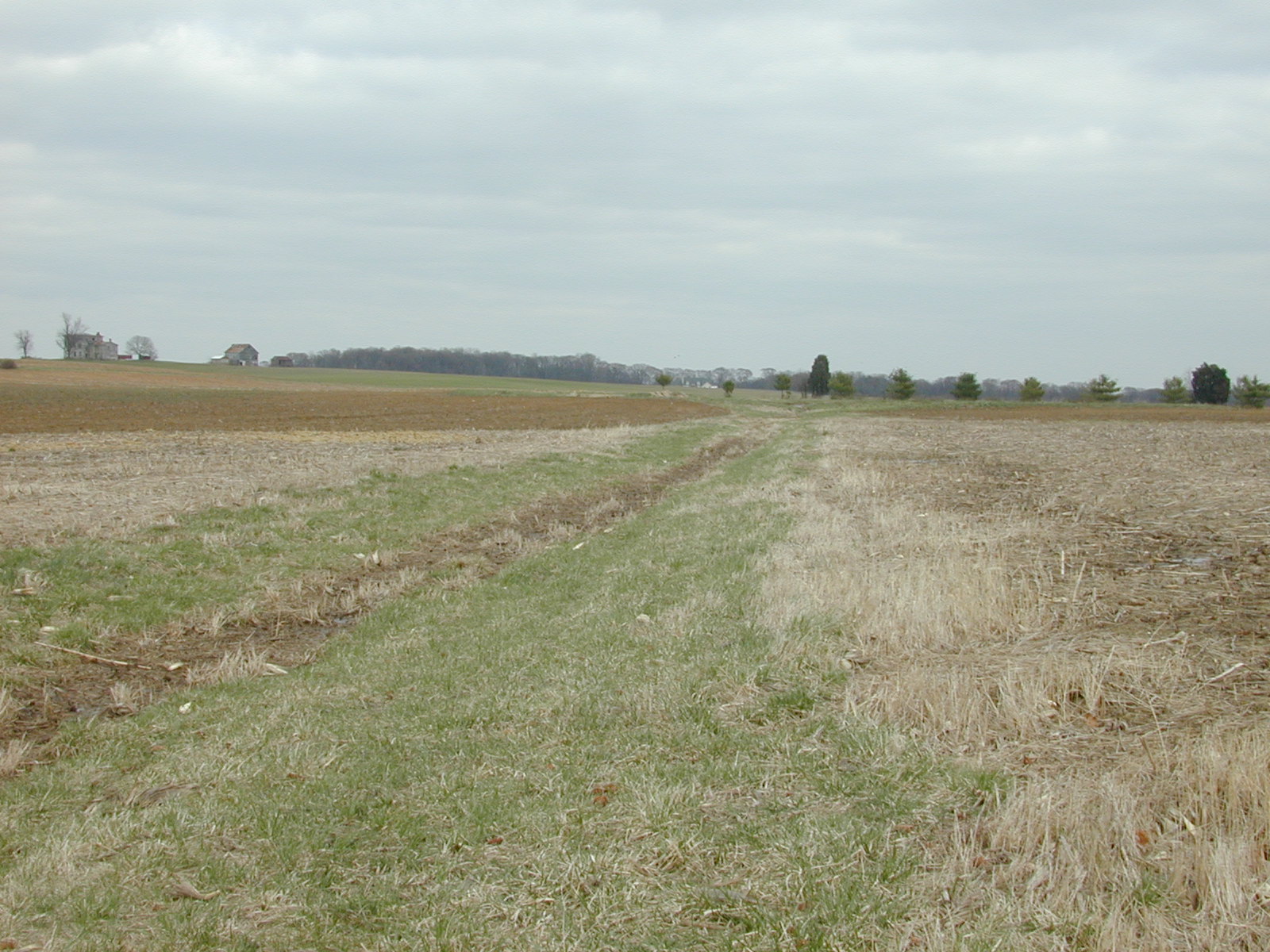 Field photo showing stream conditions at site LANG-106-R-2002-1