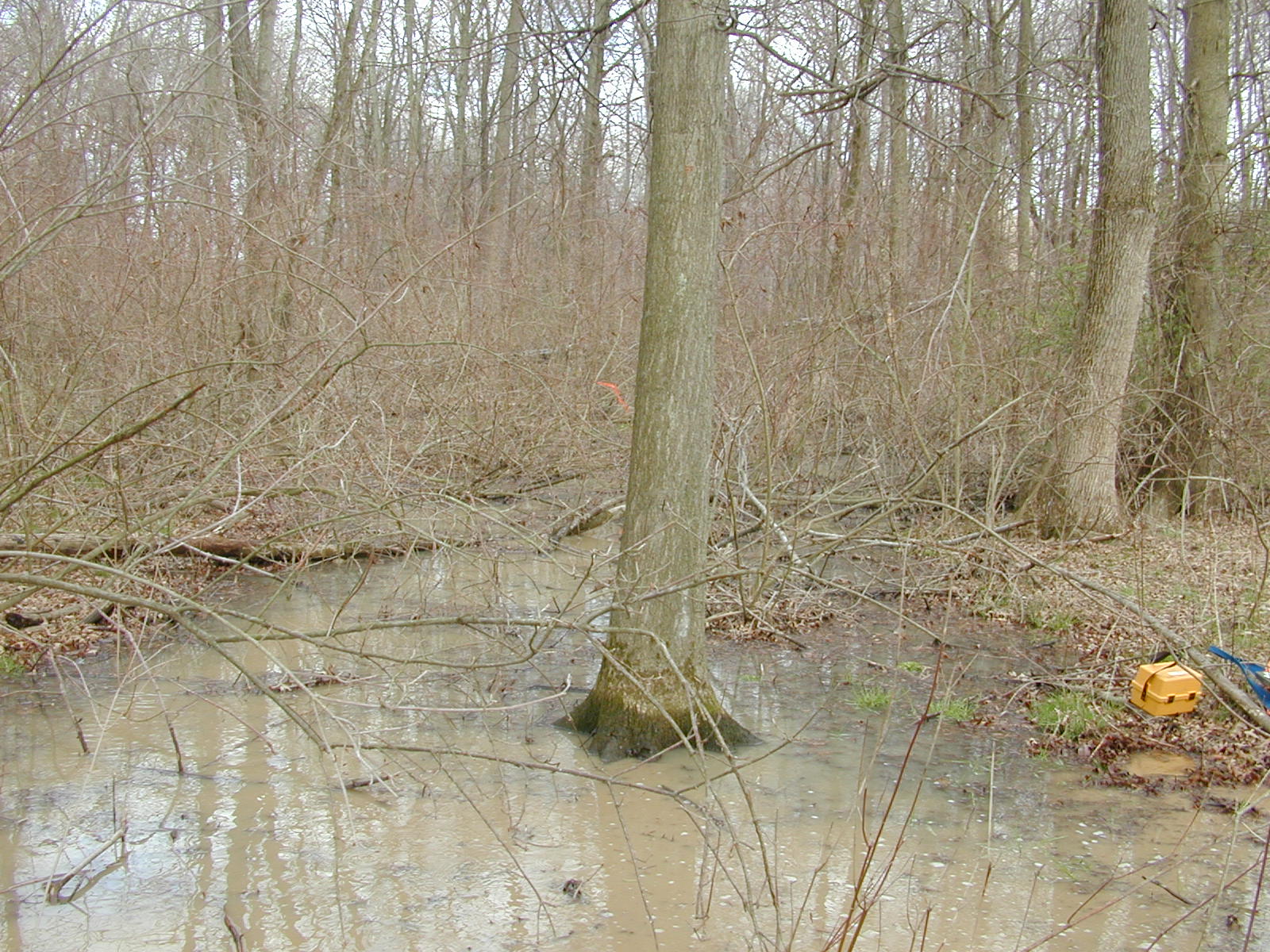 Field photo showing stream conditions at site LANG-108-R-2002-2