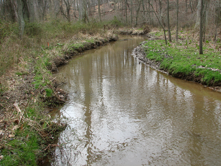 Field photo showing stream conditions at site LANG-108-R-2008-1