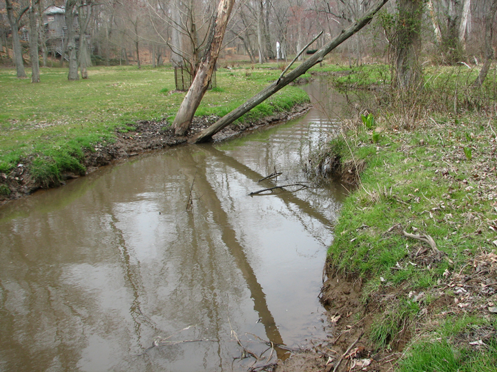 Field photo showing stream conditions at site LANG-108-R-2008-2