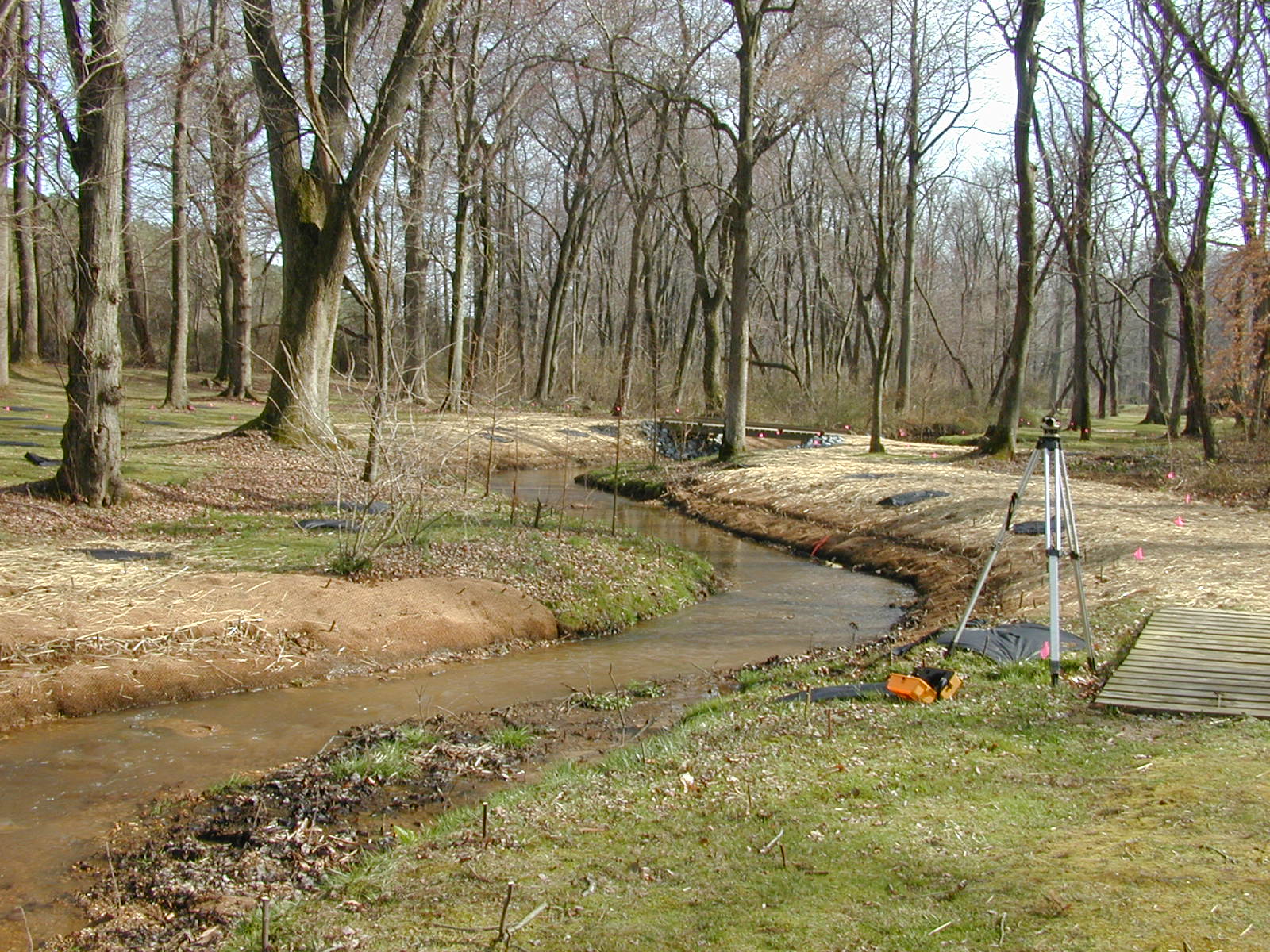 Field photo showing stream conditions at site LANG-109-R-2002-1