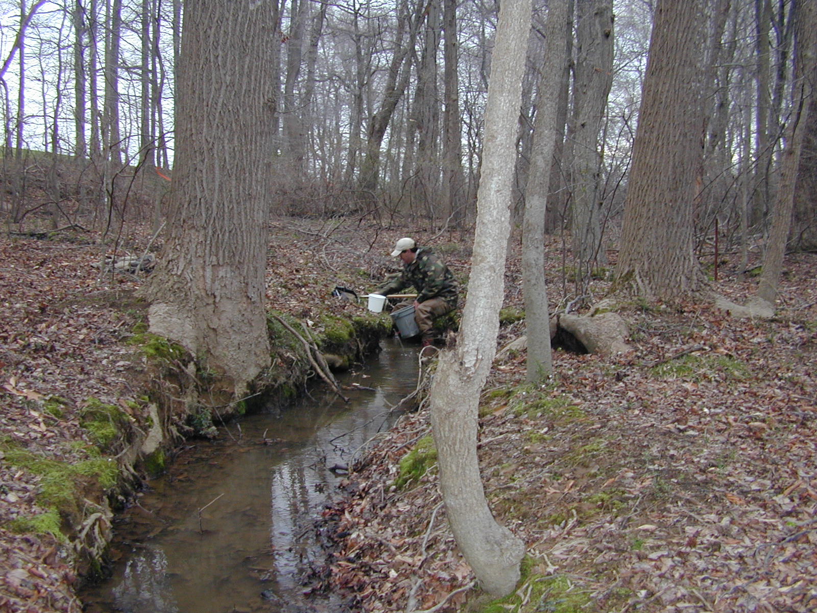 Field photo showing stream conditions at site LANG-115-R-2002-2