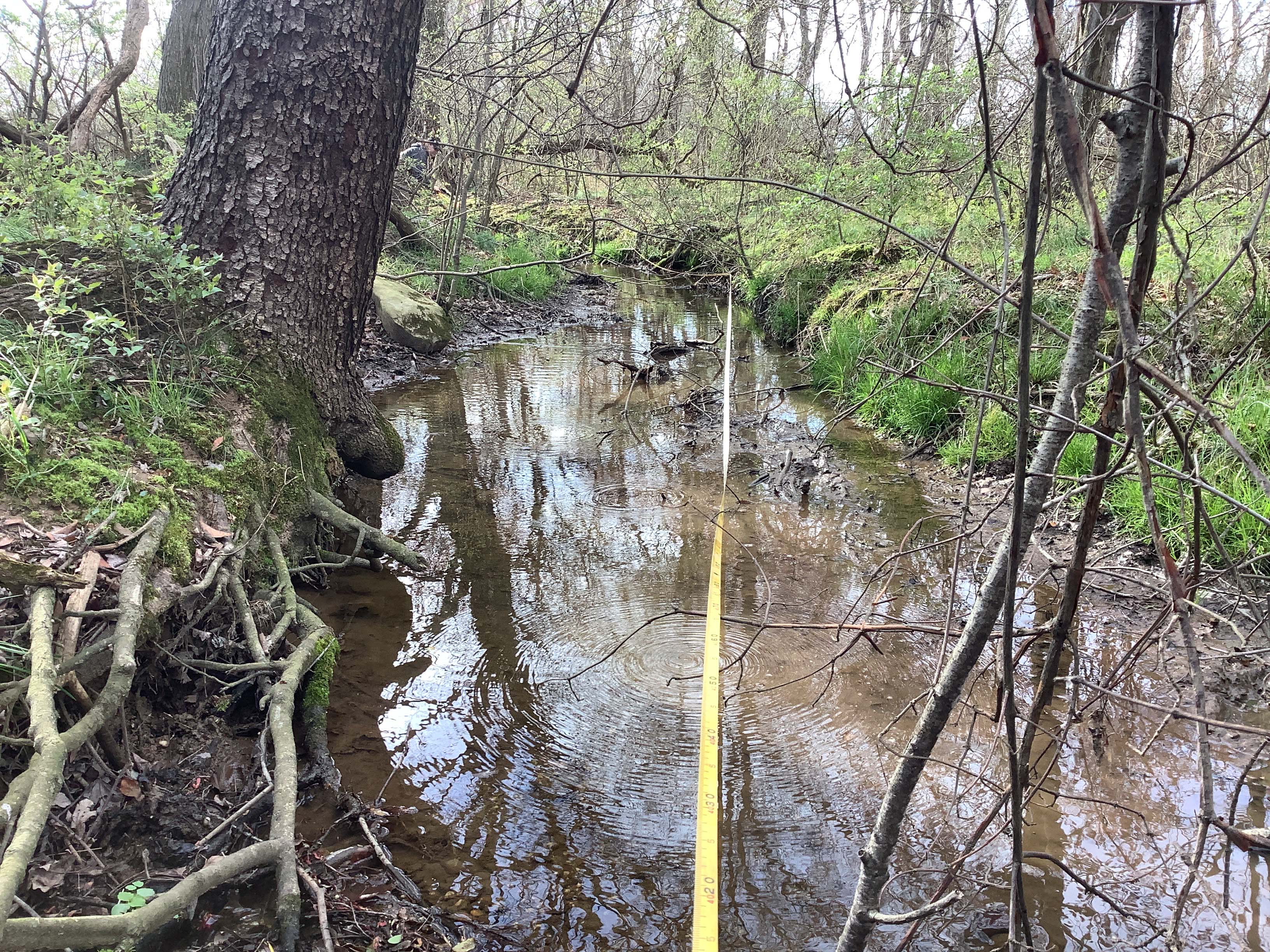 Field photo showing stream conditions at site LANG-120-R-2023-MidpointLookingUpstream