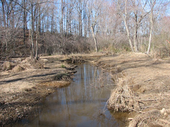 Field photo showing stream conditions at site LANG-201-B-2007-1