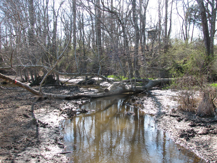 Field photo showing stream conditions at site LANG-201-B-2007-2