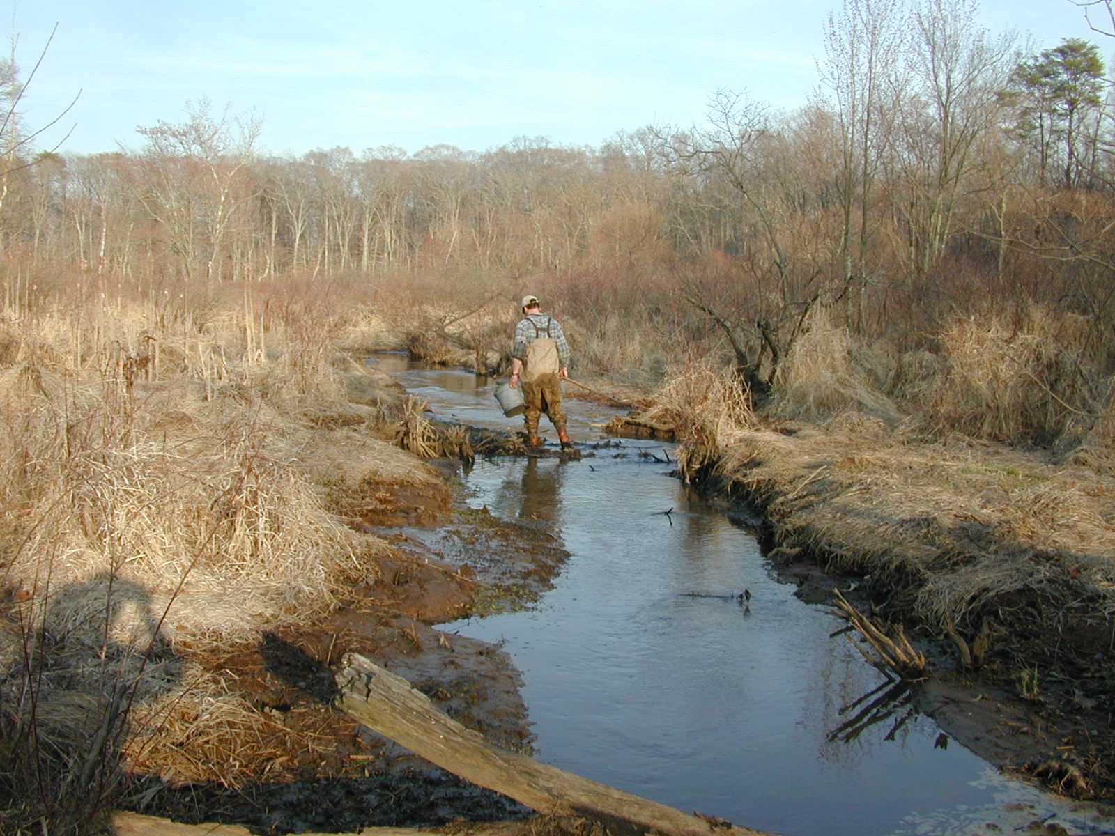 Field photo showing stream conditions at site LANG-204-R-2002-1