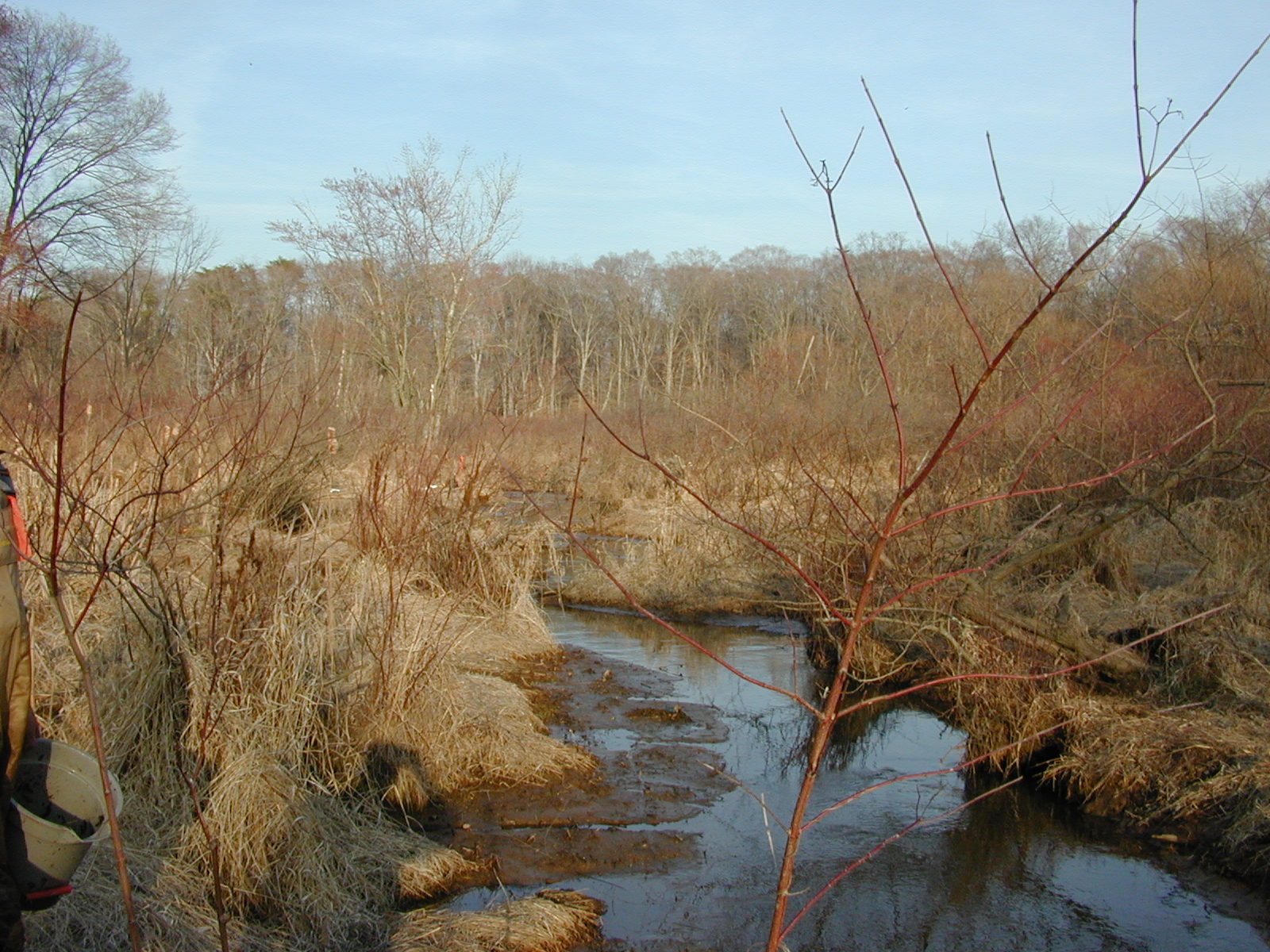 Field photo showing stream conditions at site LANG-204-R-2002-2