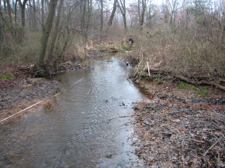 Field photo showing stream conditions at site LANG-205-R-2008-1