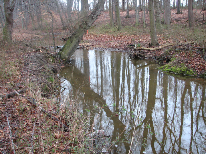 Field photo showing stream conditions at site LANG-205-R-2008-2