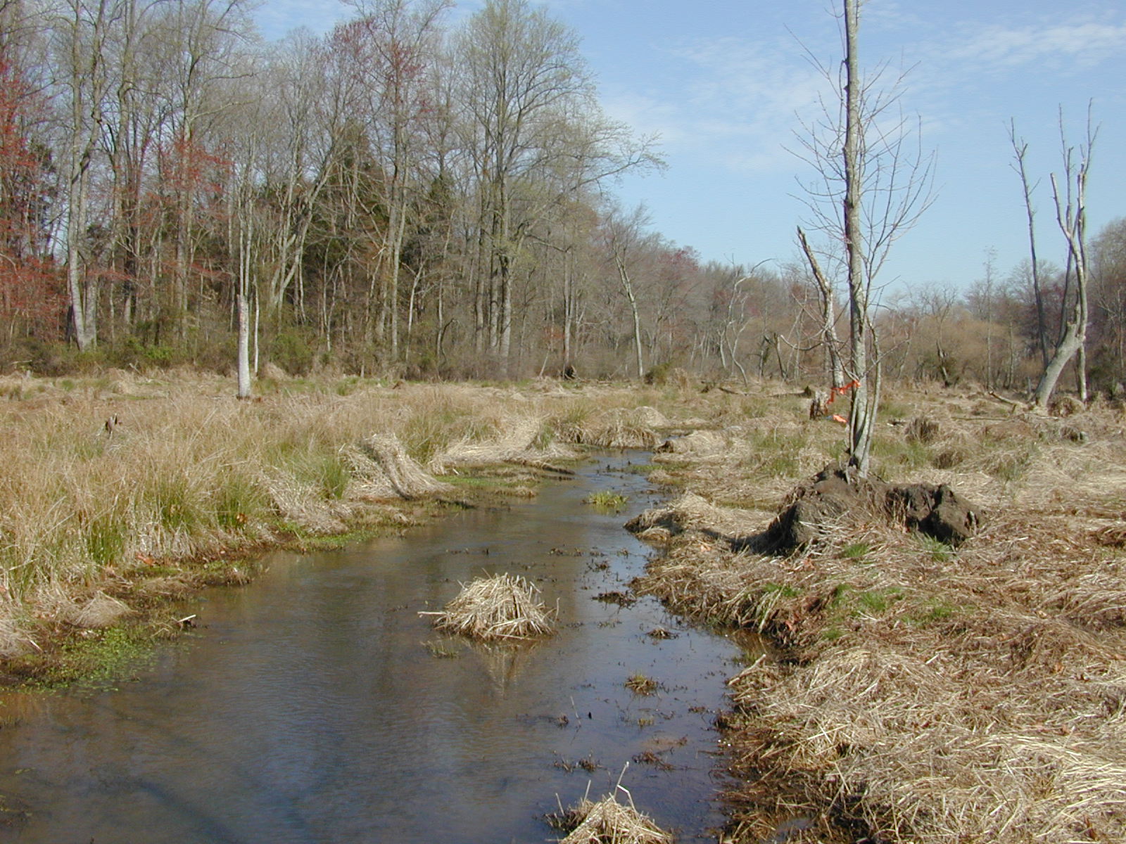 Field photo showing stream conditions at site LANG-218-R-2002-1