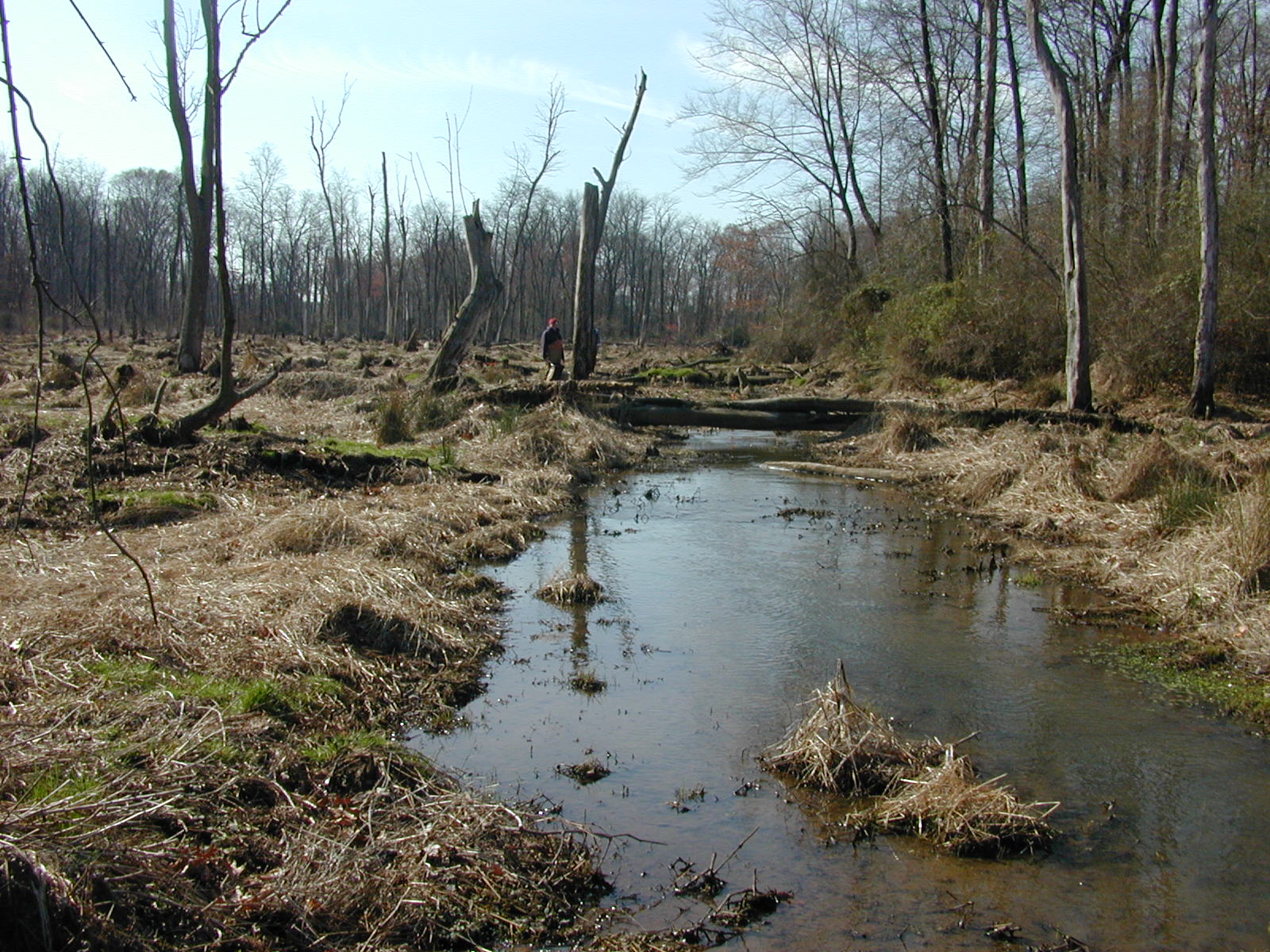 Field photo showing stream conditions at site LANG-218-R-2002-2