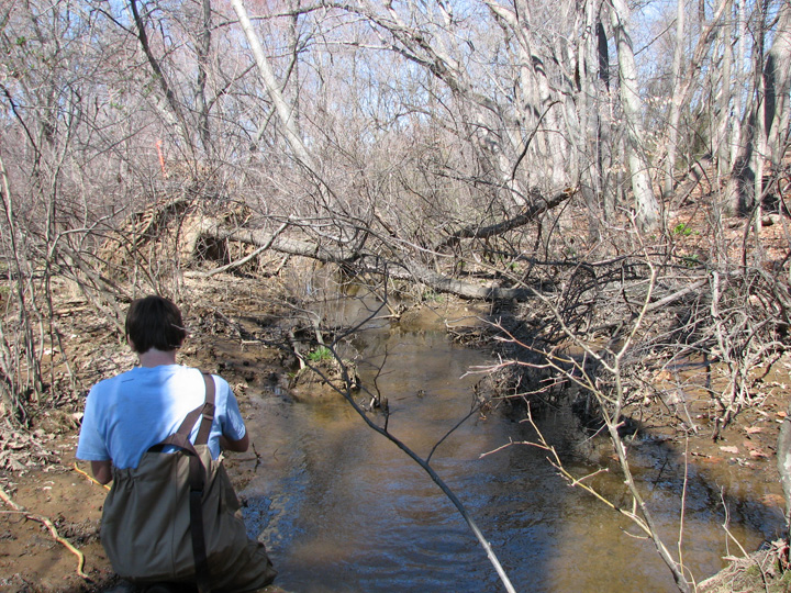 Field photo showing stream conditions at site LANG-229-A-2007-1