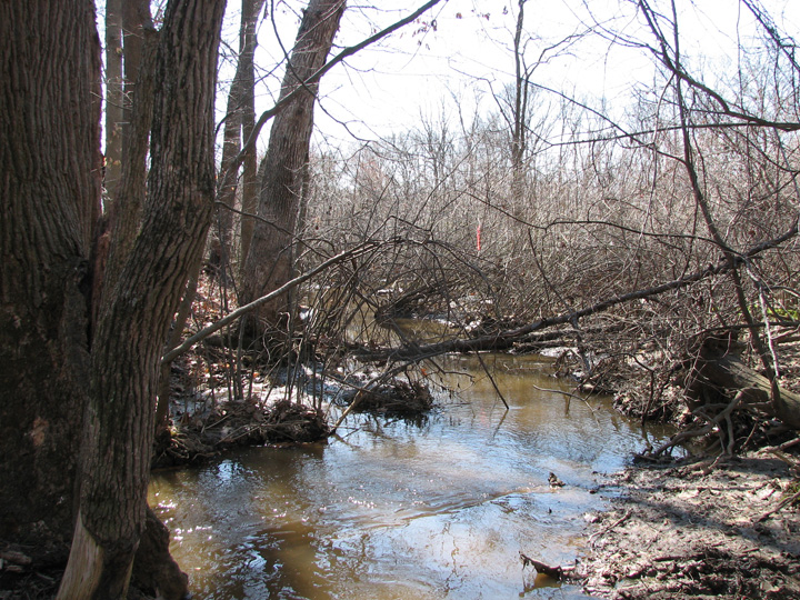 Field photo showing stream conditions at site LANG-229-A-2007-2