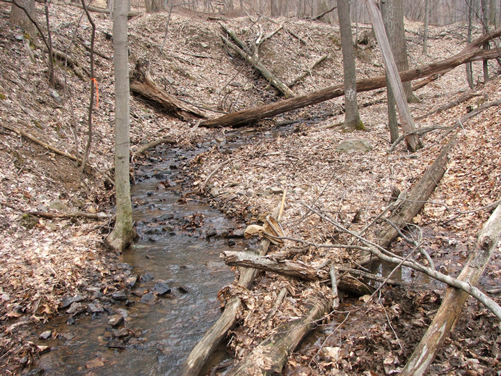 Field photo showing stream conditions at site LCON-106-B-2008-1