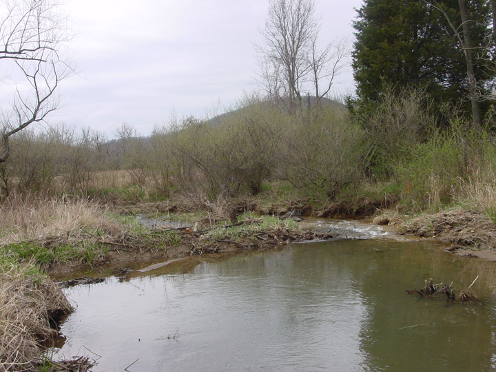 Field photo showing stream conditions at site LCON-201-R-2007-2