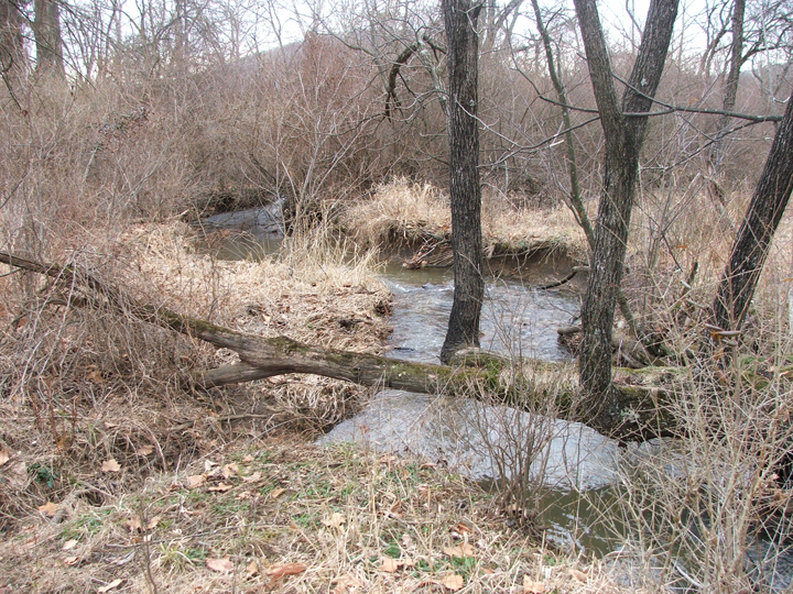 Field photo showing stream conditions at site LCON-207-B-2008-2