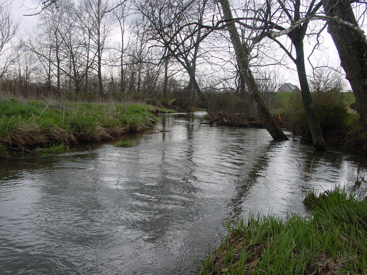 Field photo showing stream conditions at site LCON-207-R-2007-2
