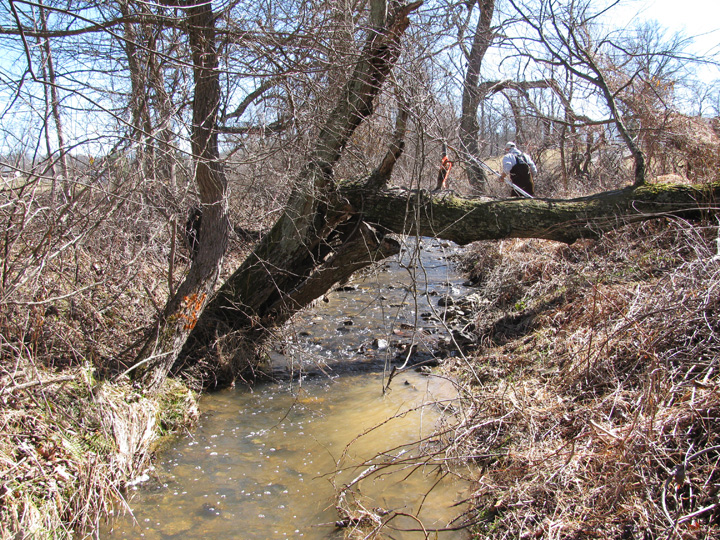 Field photo showing stream conditions at site LIBE-101-A-2011-1