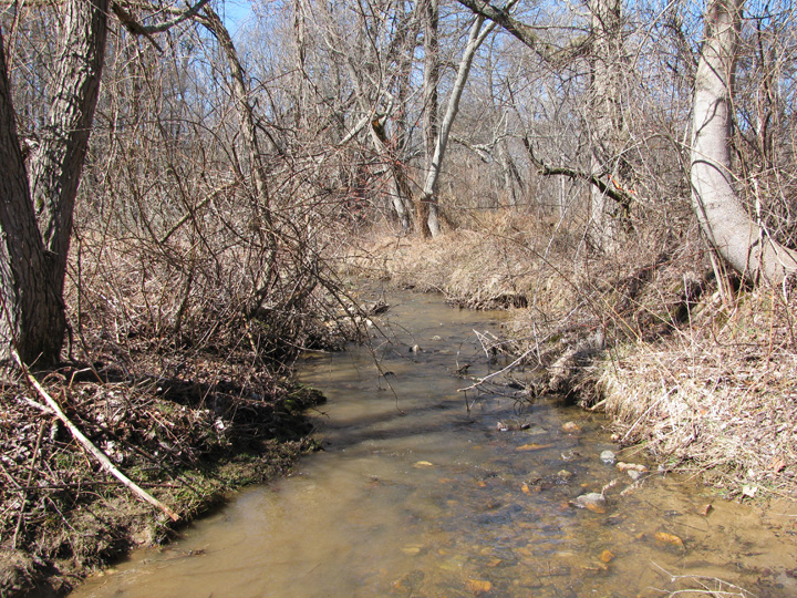 Field photo showing stream conditions at site LIBE-101-A-2011-2
