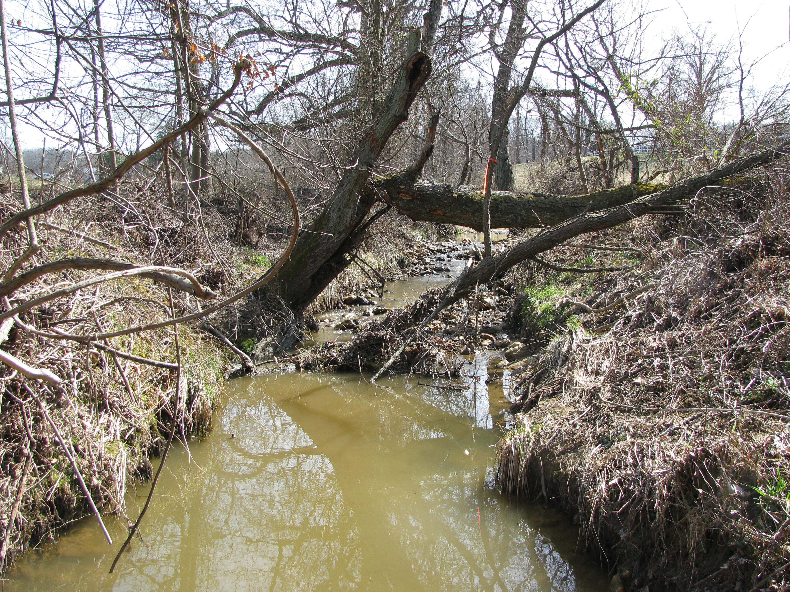 Field photo showing stream conditions at site LIBE-101-A-2012-1