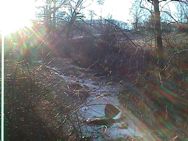 Field photo showing stream conditions at site LIBE-101-R-2000-02_09
