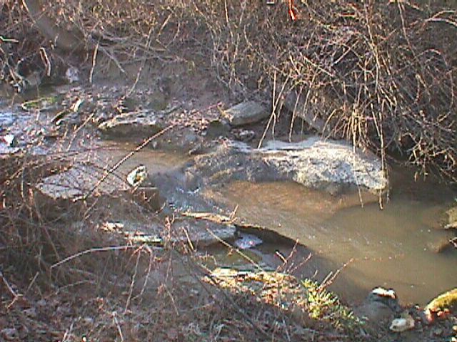Field photo showing stream conditions at site LIBE-101-R-2000-02_10