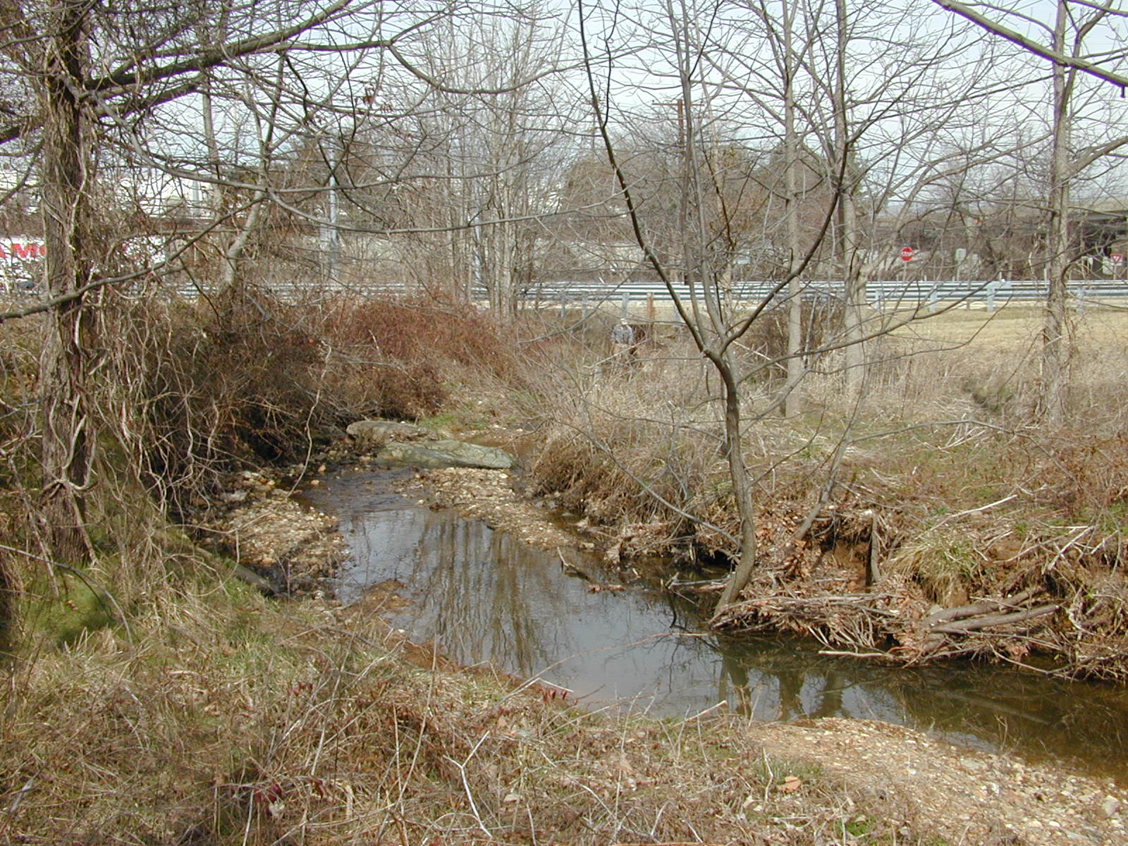 Field photo showing stream conditions at site LIBE-101-X-2002-1