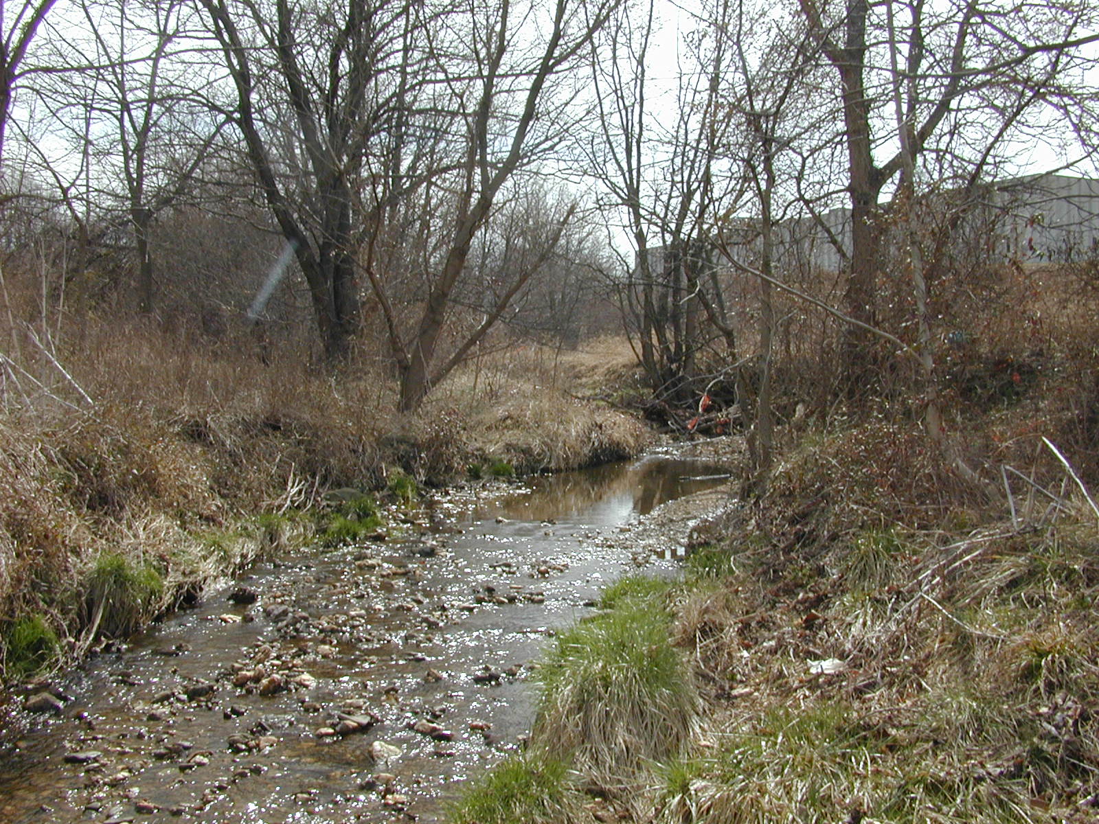 Field photo showing stream conditions at site LIBE-101-X-2002-2