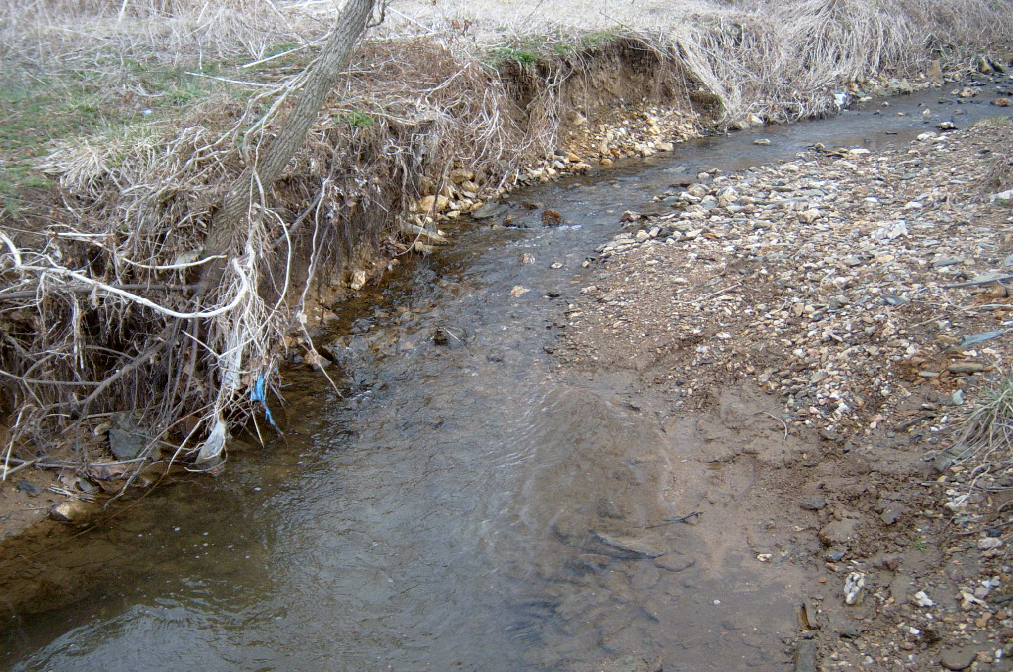 Field photo showing stream conditions at site LIBE-101-X-2004-1