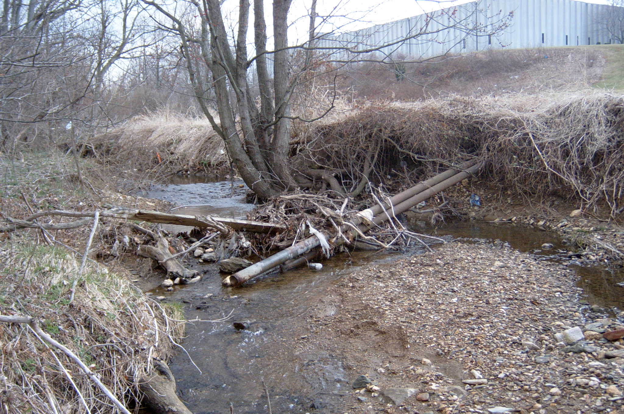 Field photo showing stream conditions at site LIBE-101-X-2004-2