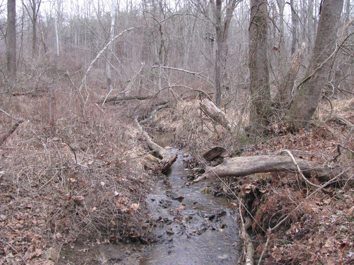 Field photo showing stream conditions at site LIBE-101-X-2011-1
