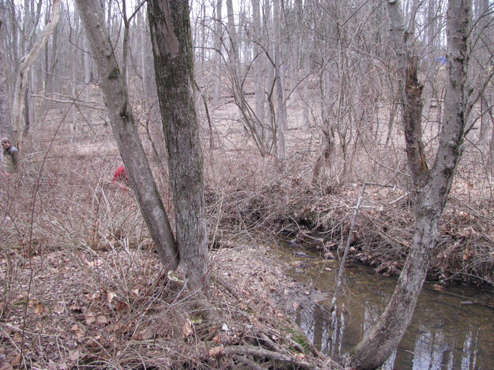 Field photo showing stream conditions at site LIBE-101-X-2011-2