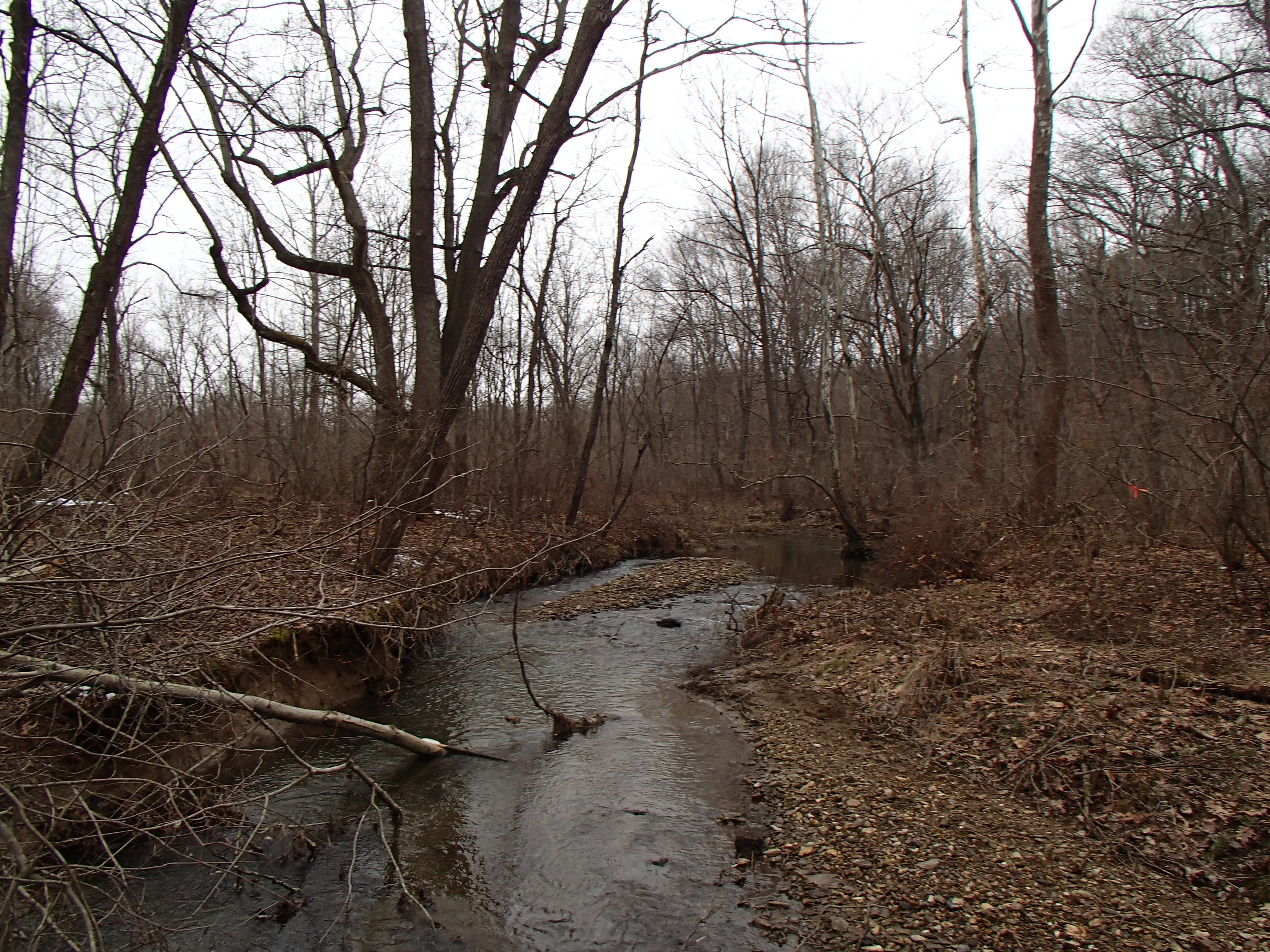 Field photo showing stream conditions at site LIBE-101-X-2014-1