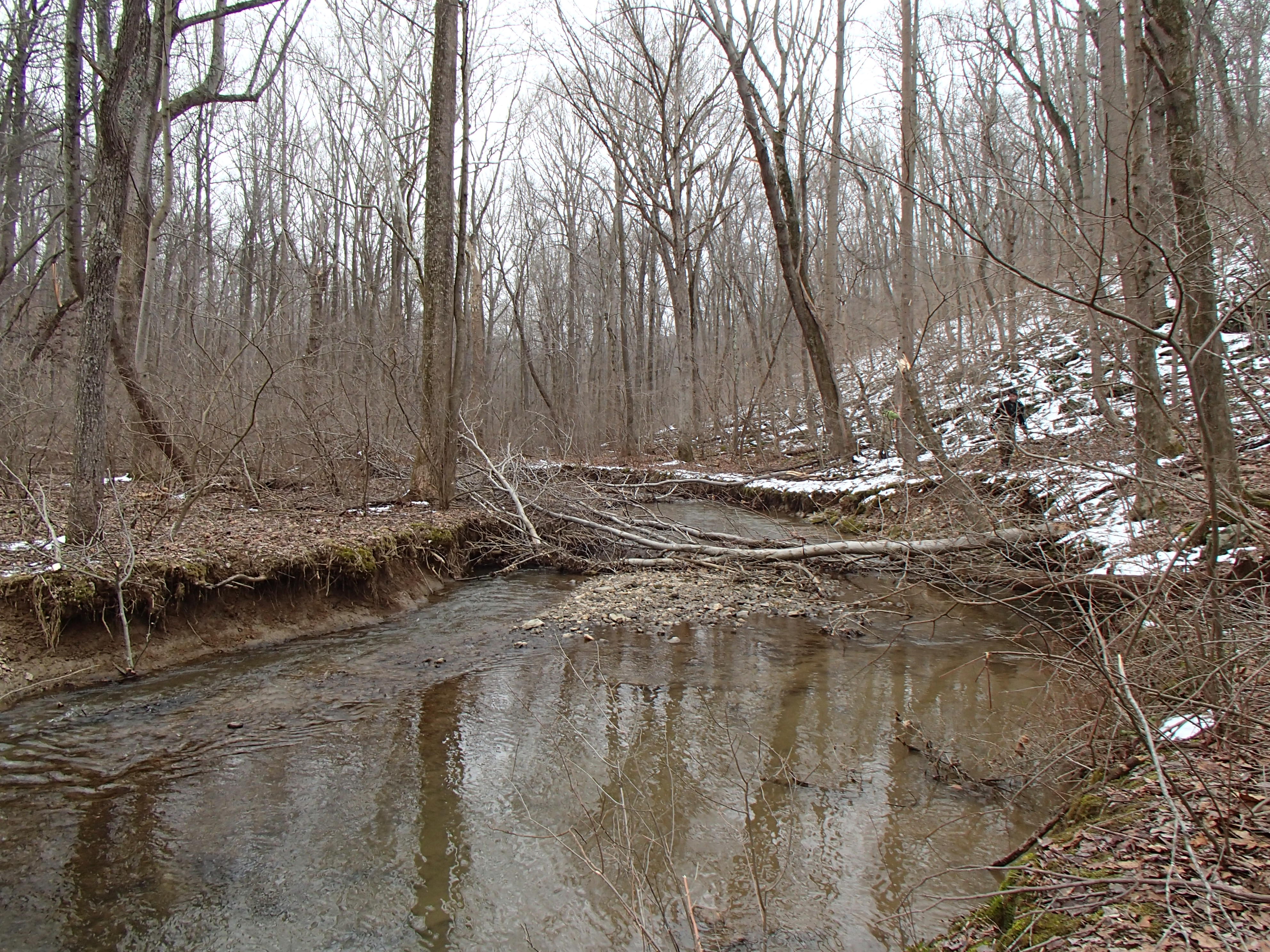 Field photo showing stream conditions at site LIBE-101-X-2014-2