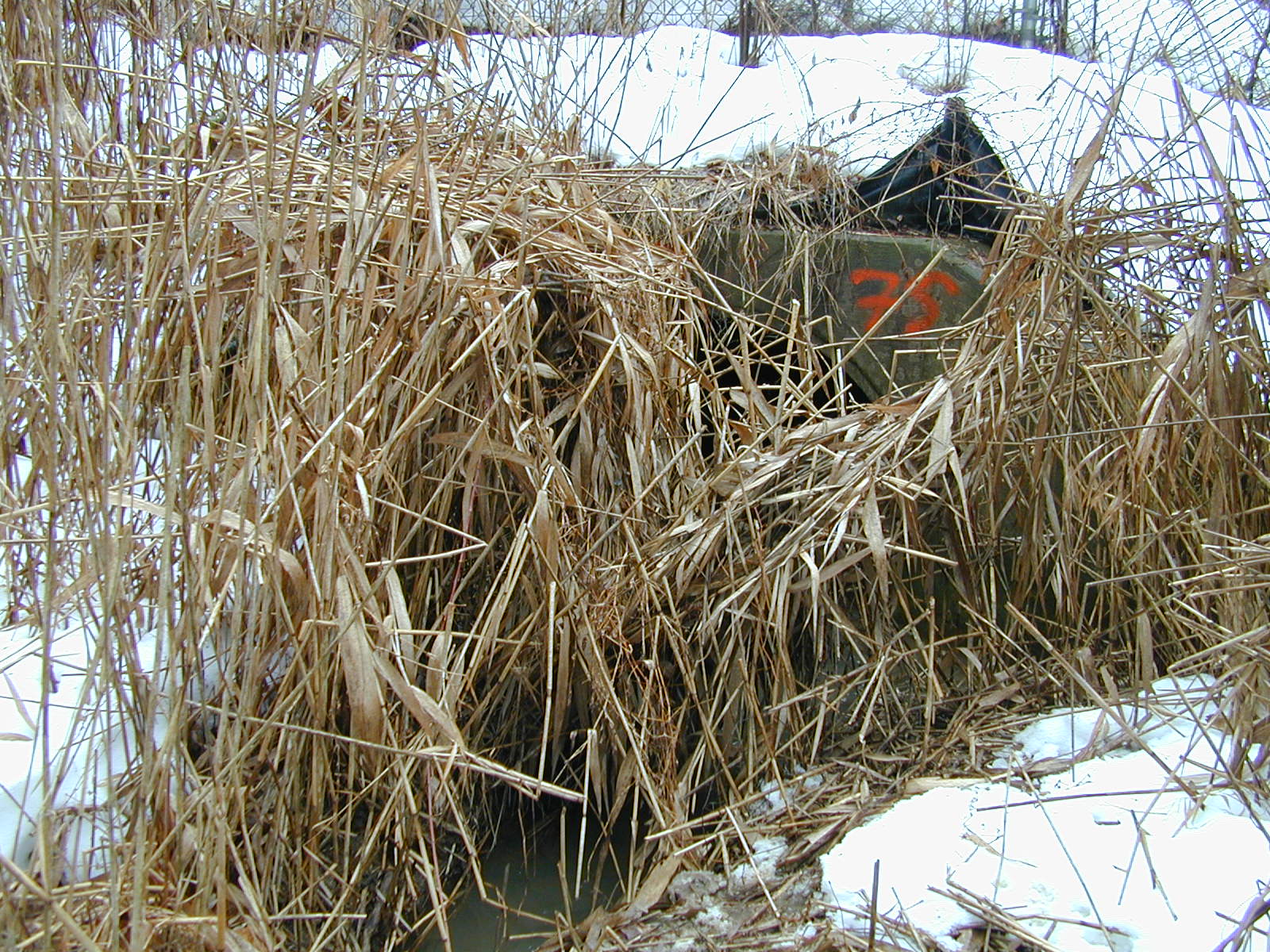 Field photo showing stream conditions at site LIBE-102-R-2003-645