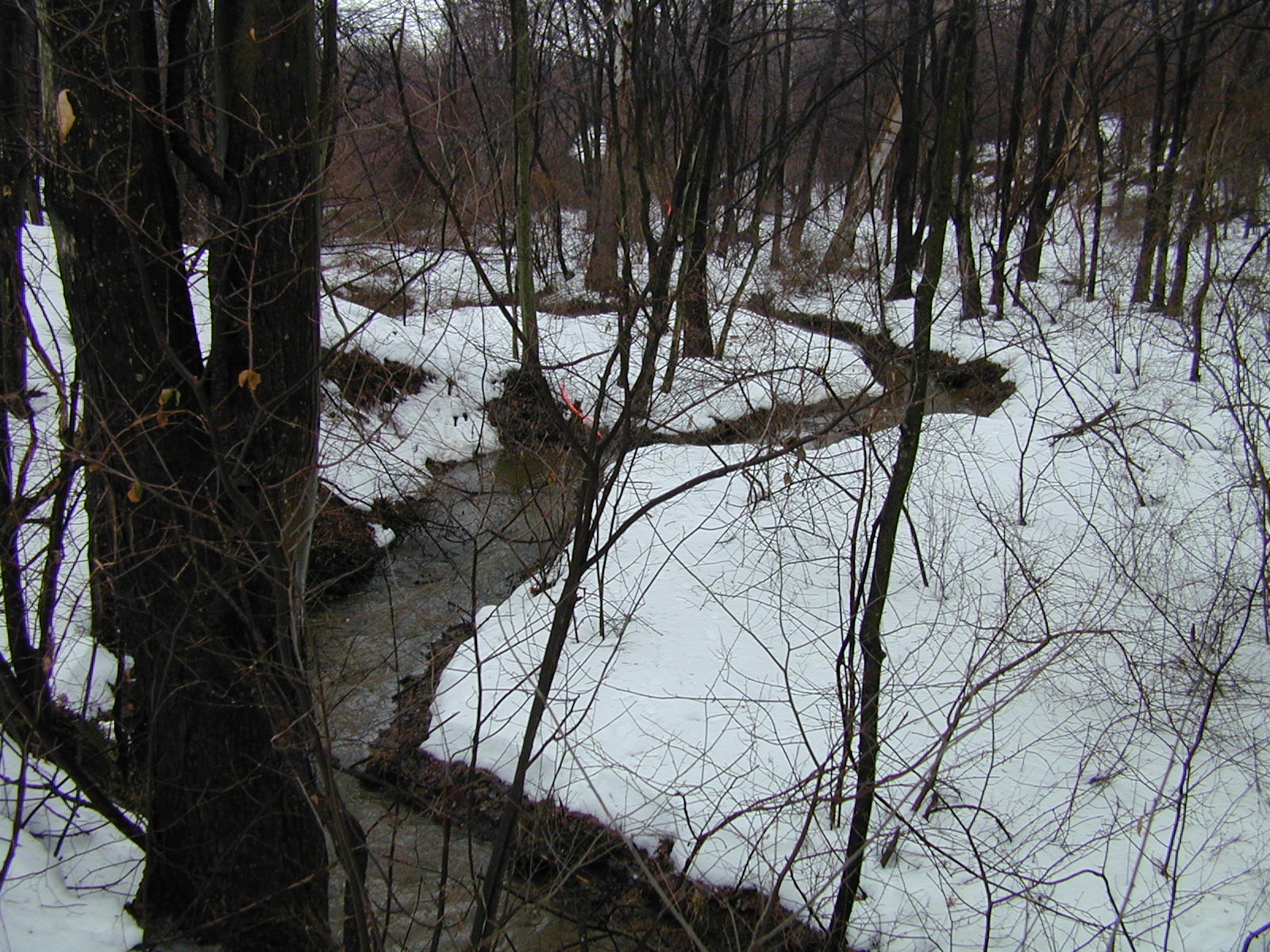 Field photo showing stream conditions at site LIBE-102-R-2003-646
