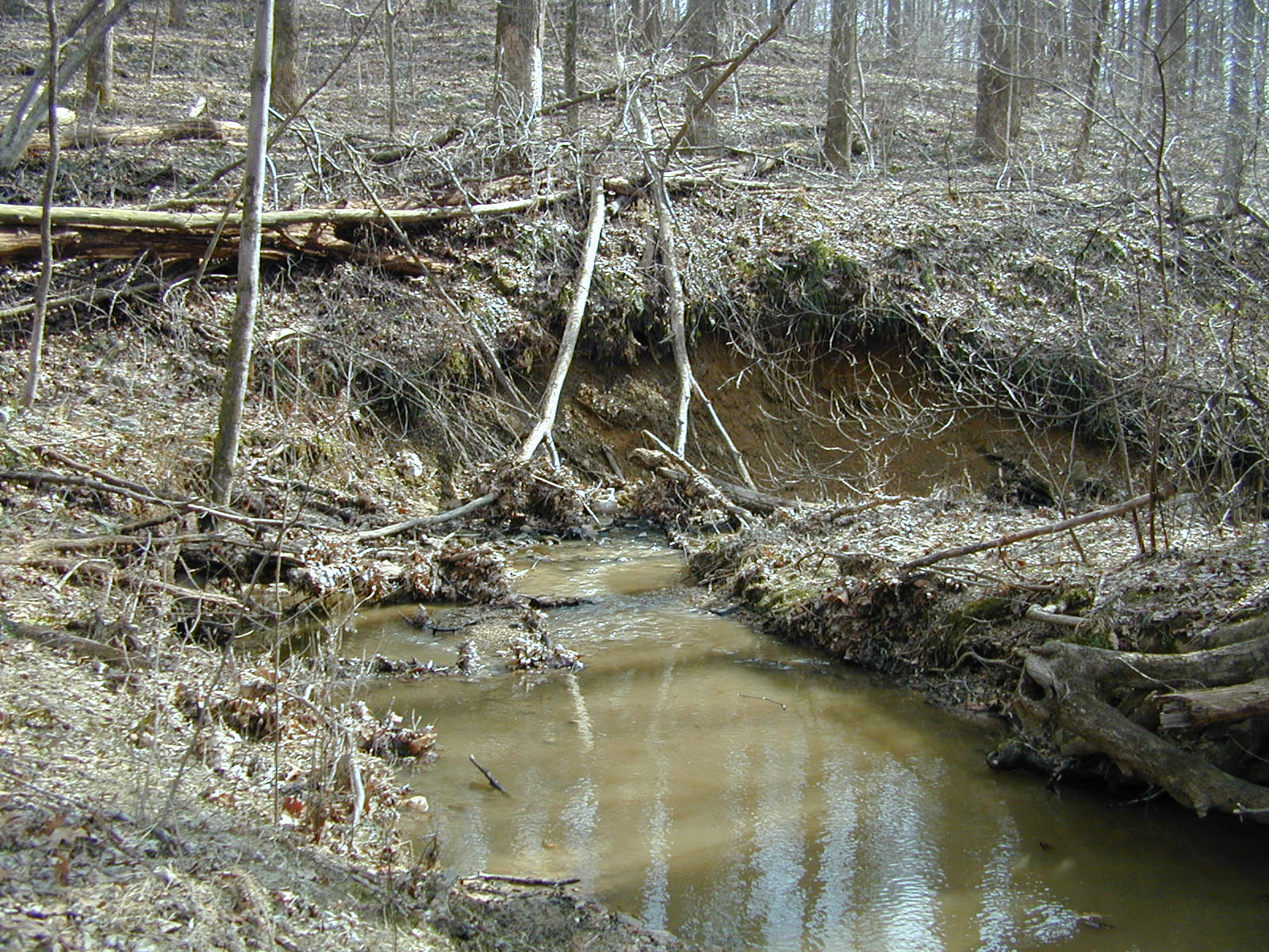Field photo showing stream conditions at site LIBE-102-S-2001-2